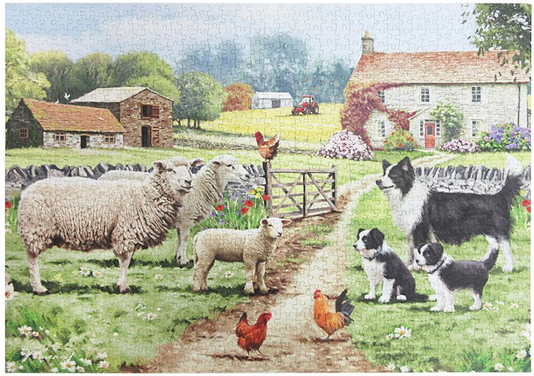 Collie & Sheep