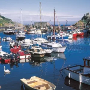 Polperro Harbour View