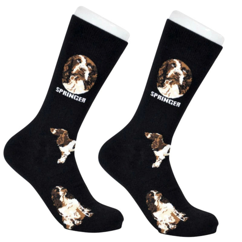 Springer Spaniel Socks